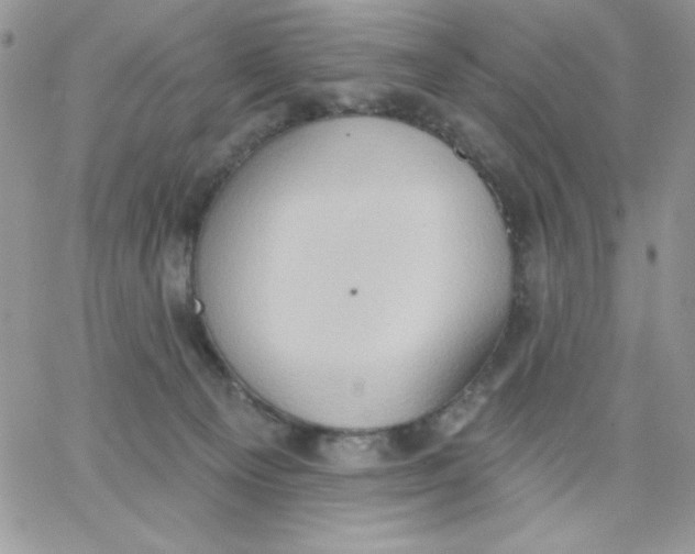 X0000062890129200602031816