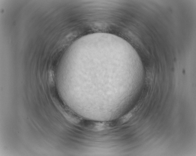 X0000062890130200602031816