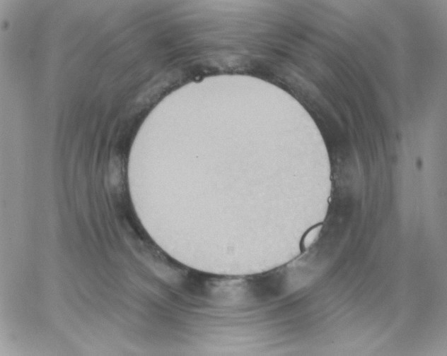 X0000062890132200602031816