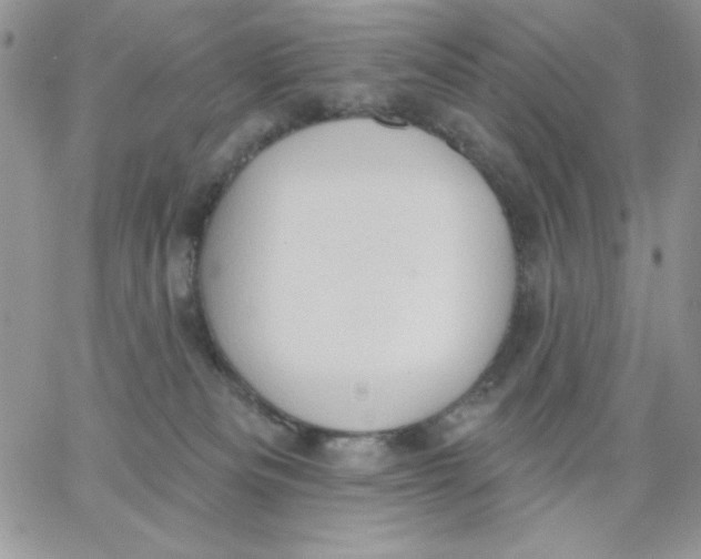 X0000062890133200602031816