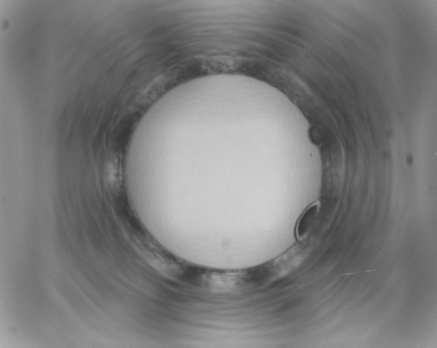 X0000062890134200602031816