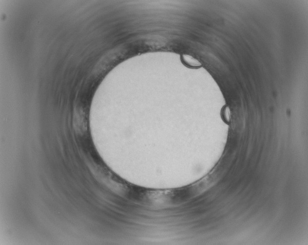 X0000062890136200602031816