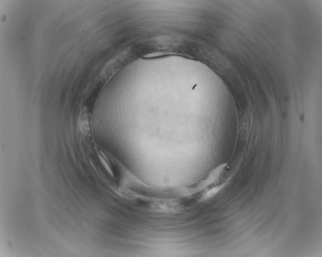 X0000062890137200602031816