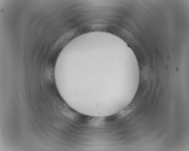 X0000062890138200602031816