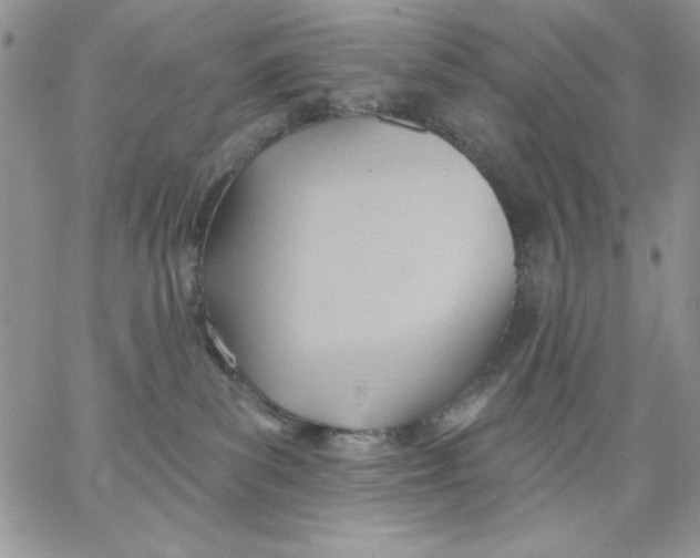 X0000062890139200602031816