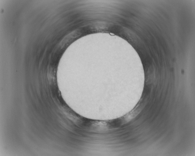 X0000062890140200602031816