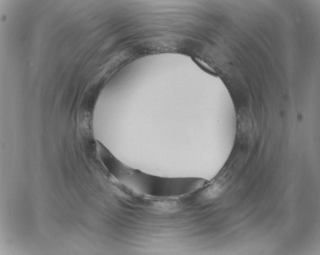 X0000062890141200602031816