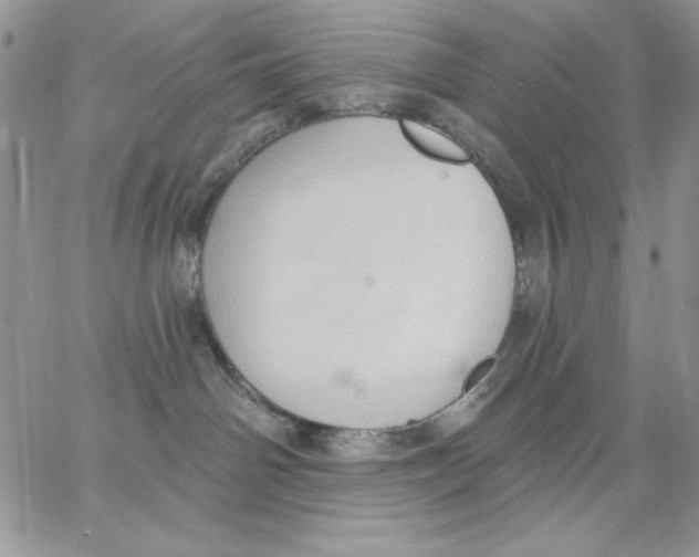 X0000062890142200602031816