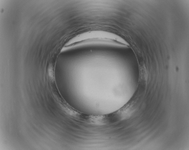 X0000062890143200602031816