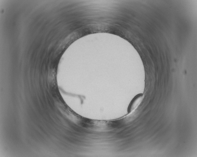 X0000062890144200602031816