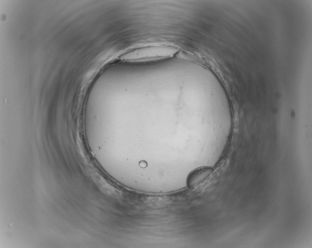 X0000062890145200602031815