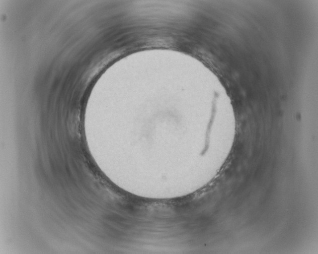 X0000062890146200602031815