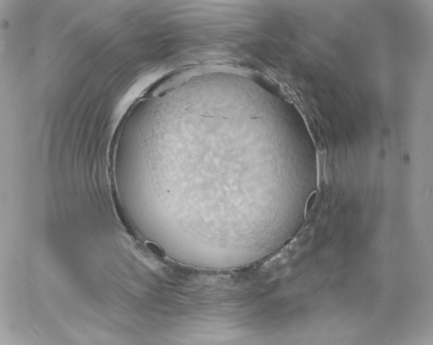 X0000062890147200602031816