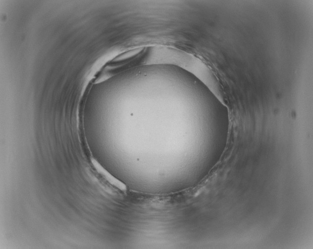 X0000062890148200602031816