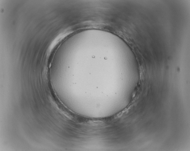 X0000062890150200602031816