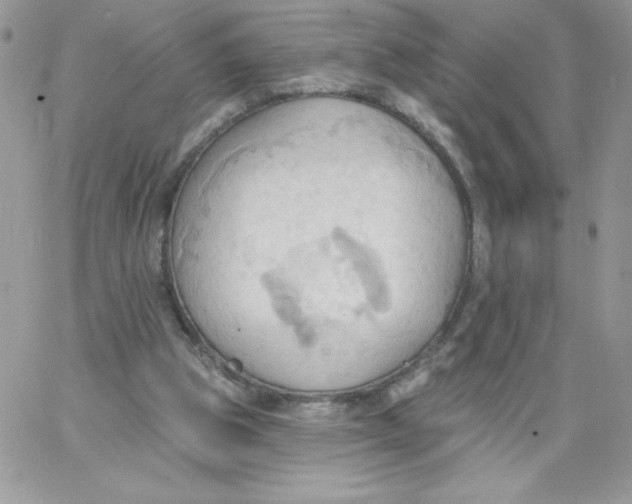 X0000062890153200602031816