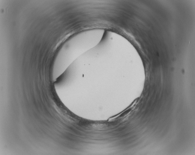 X0000062890154200602031816