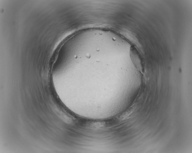 X0000062890156200602031816