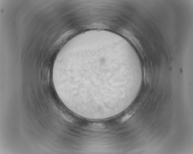 X0000062890157200602031816