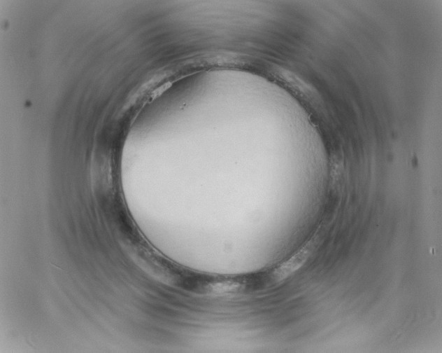 X0000062890158200602031816