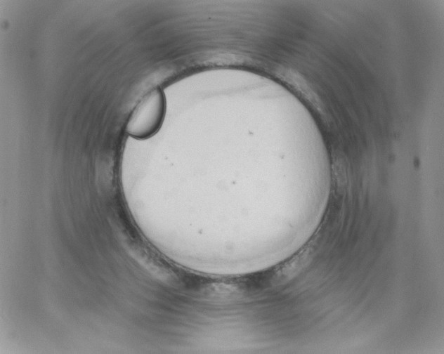 X0000062890159200602031816