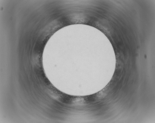 X0000062890162200602031816