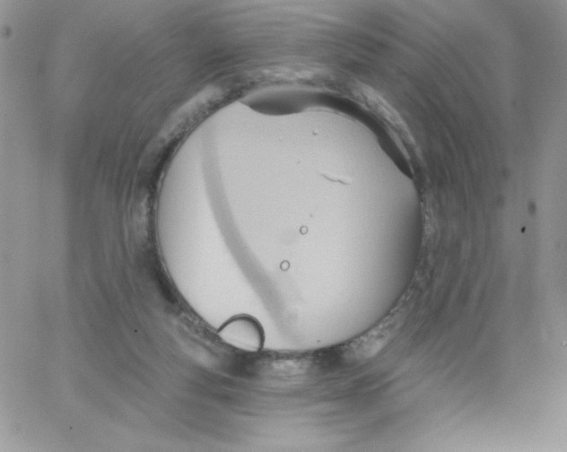 X0000062890163200602031816