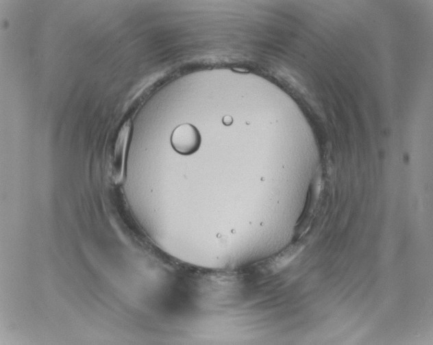 X0000062890164200602031816