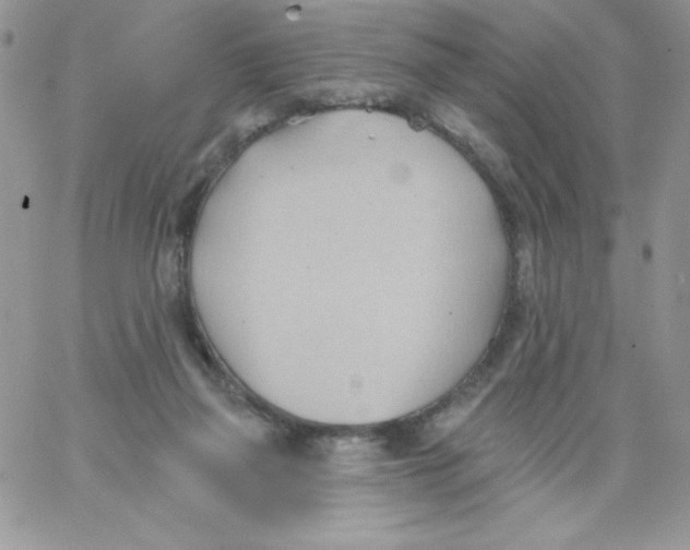 X0000062890165200602031816