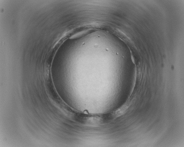 X0000062890168200602031816