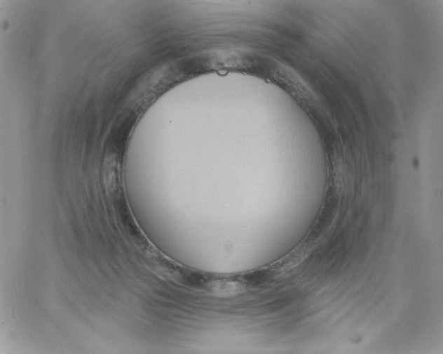 X0000062890169200602031816