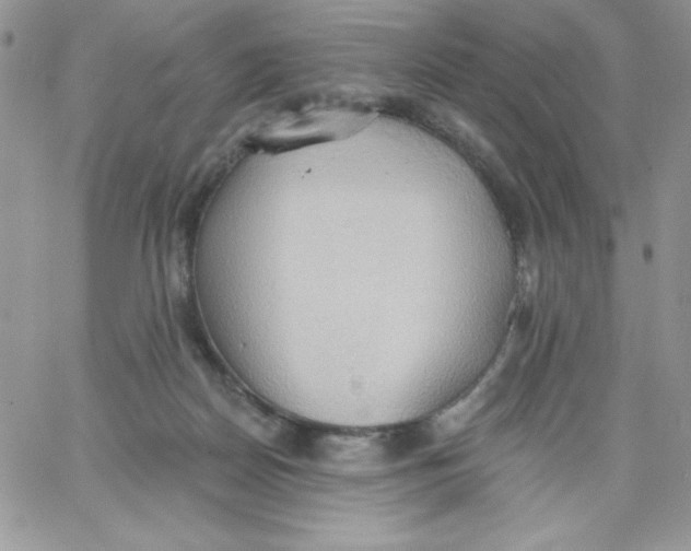 X0000062890170200602031816