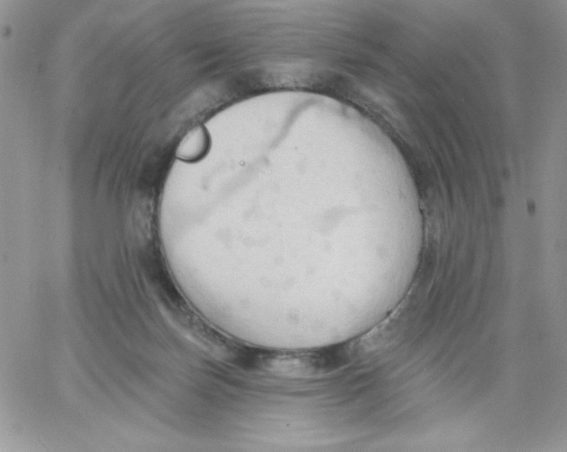 X0000062890171200602031816