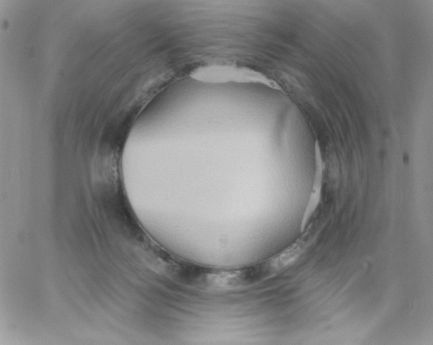 X0000062890172200602031816