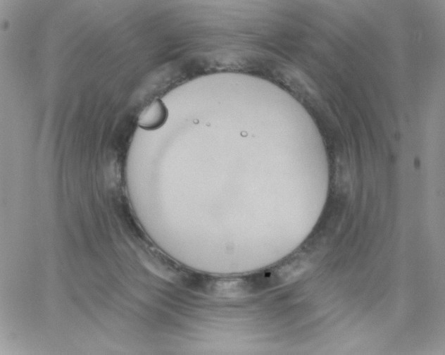 X0000062890173200602031816