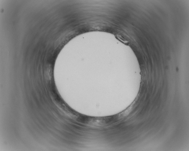 X0000062890174200602031816