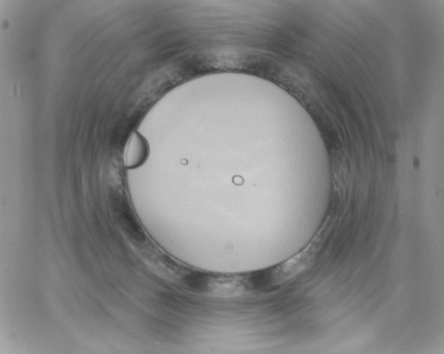 X0000062890175200602031816