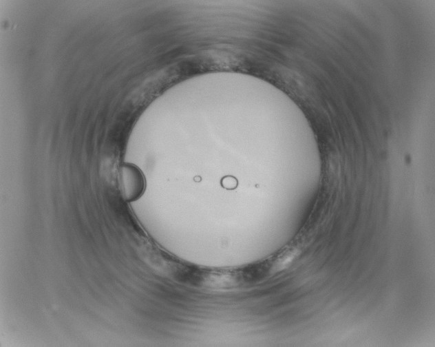 X0000062890177200602031816