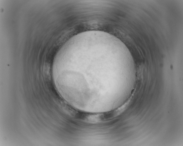 X0000062890178200602031816