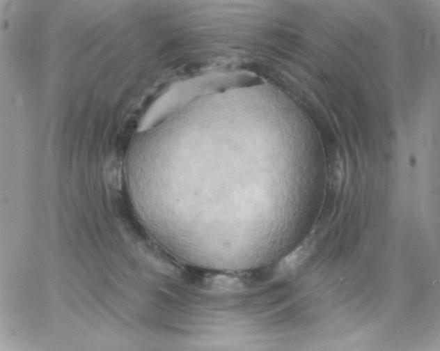 X0000062890180200602031816