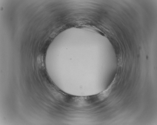 X0000062890182200602031816