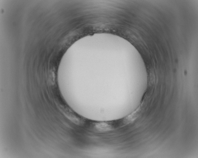 X0000062890183200602031816