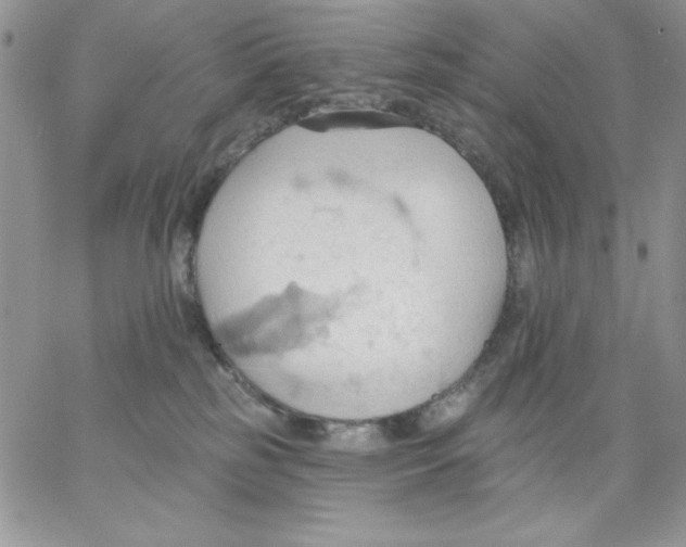 X0000062890185200602031816