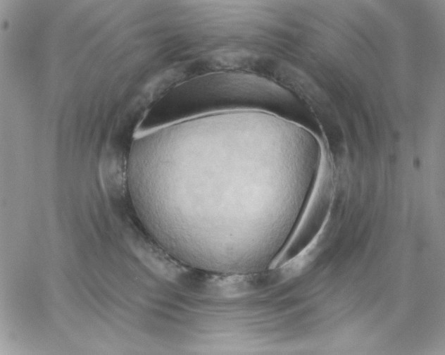 X0000062890186200602031816