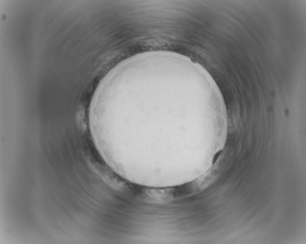 X0000062890187200602031816