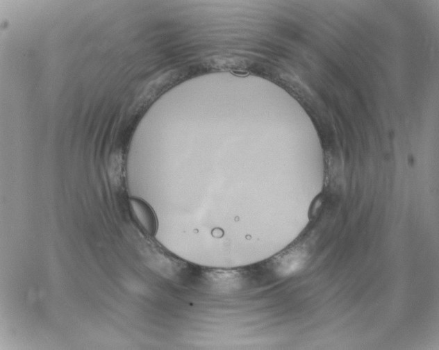 X0000062890189200602031816