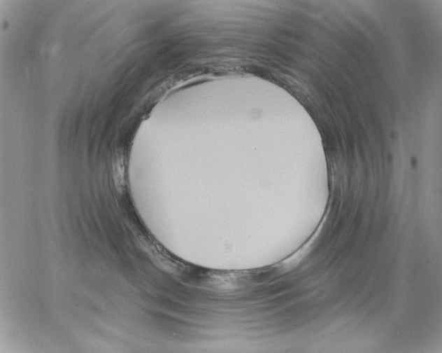 X0000062890190200602031816