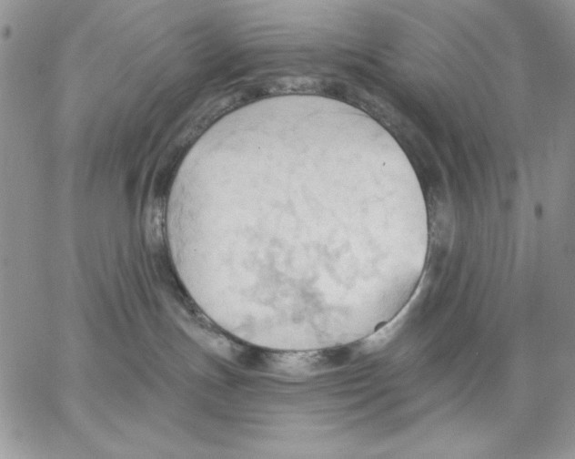 X0000062890191200602031816