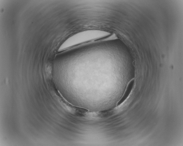 X0000062890192200602031816