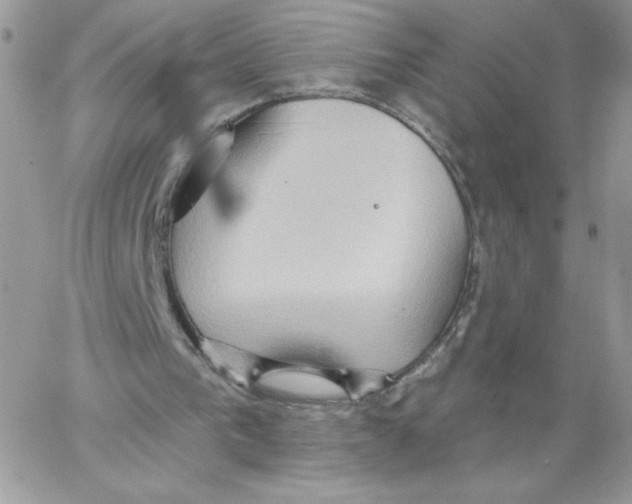 X0000062890193200602031815